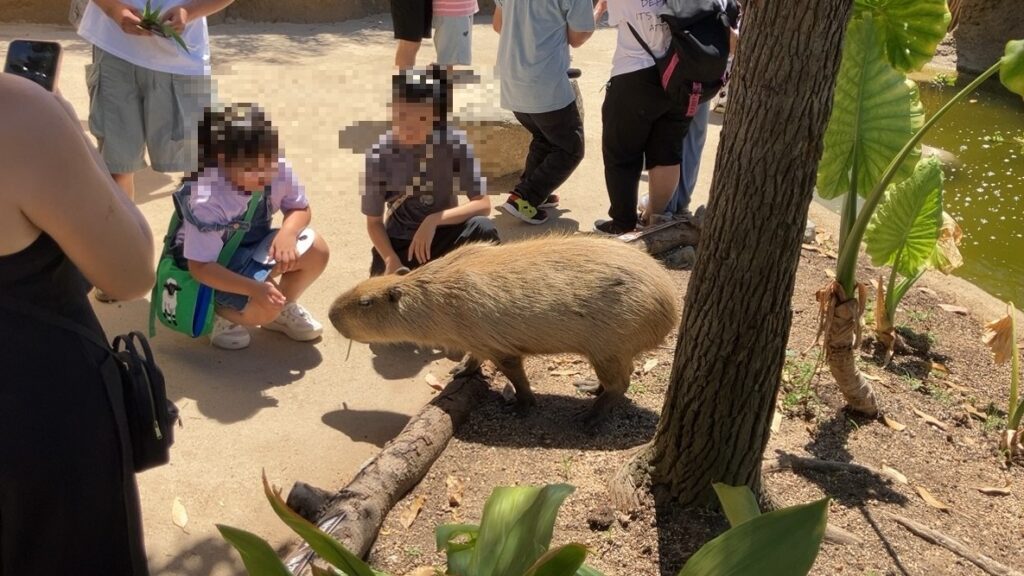 神戸どうぶつ王国