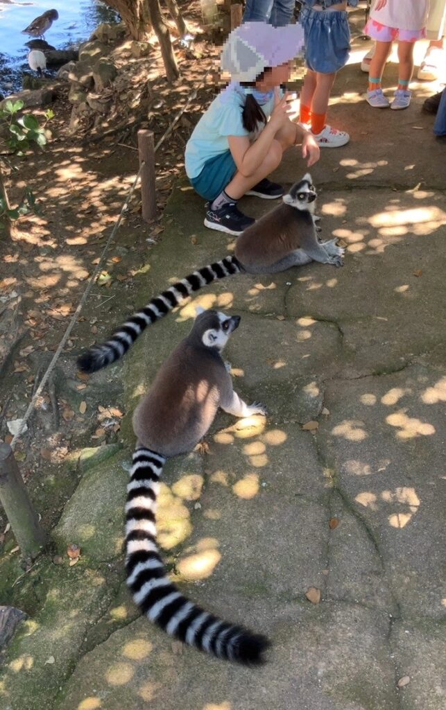 神戸どうぶつ王国