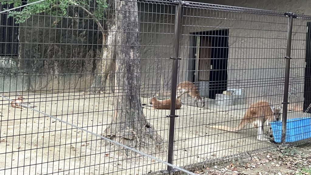 東山動植物園ナイトZOO