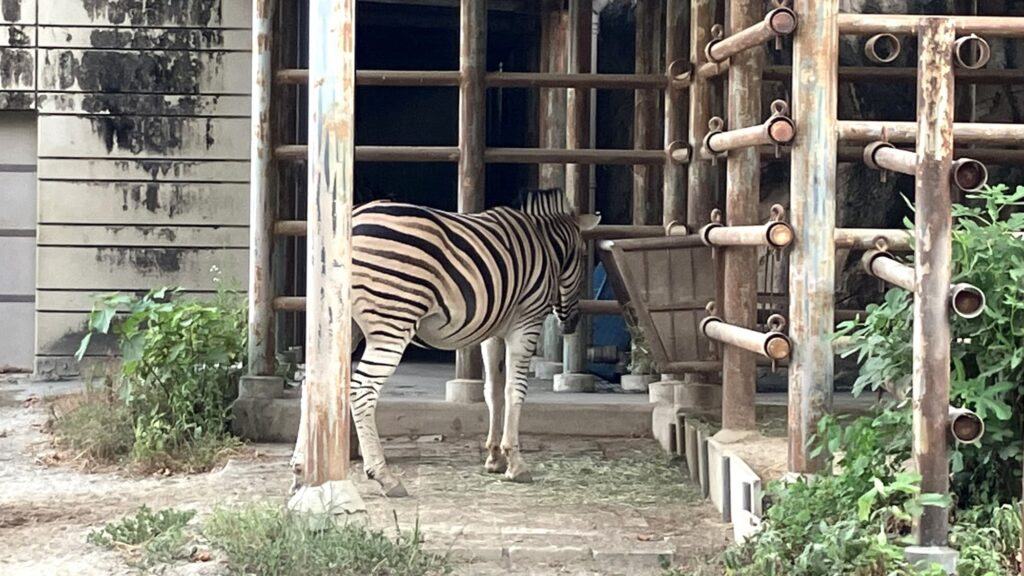 東山動植物園ナイトZOO