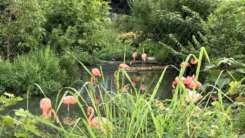 東山動植物園ナイトZOO