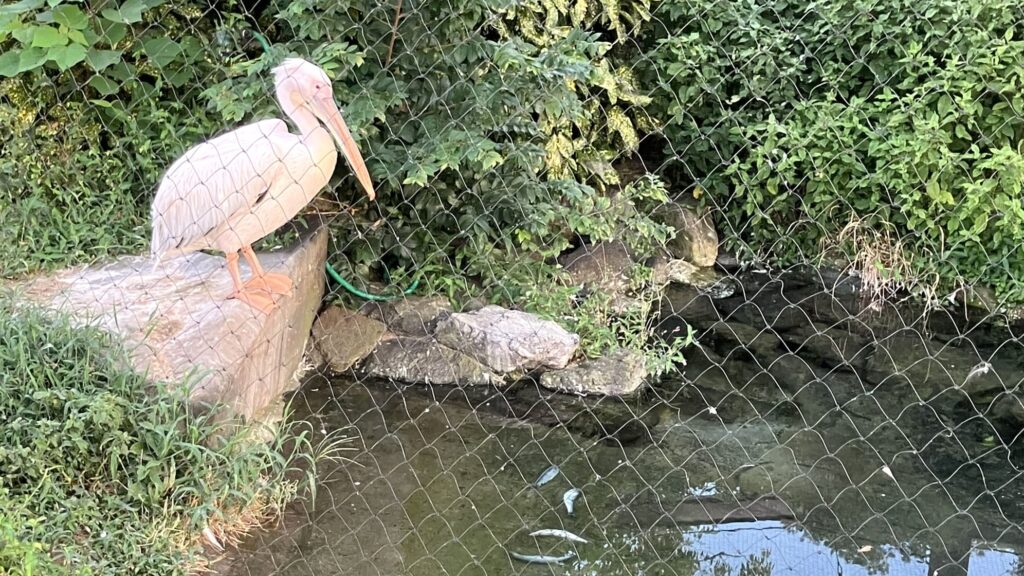 東山動植物園ナイトZOO