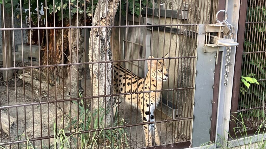 東山動植物園ナイトZOO