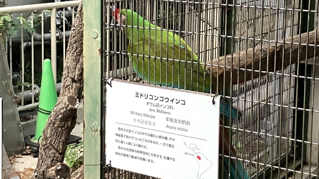 東山動植物園ナイトZOO