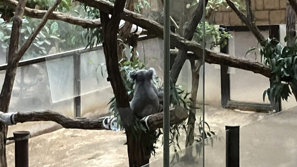 東山動植物園ナイトZOO