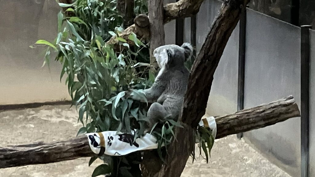 東山動植物園ナイトZOO