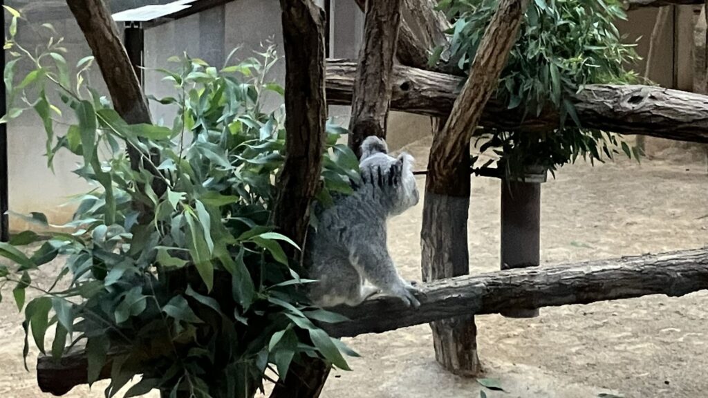 東山動植物園ナイトZOO