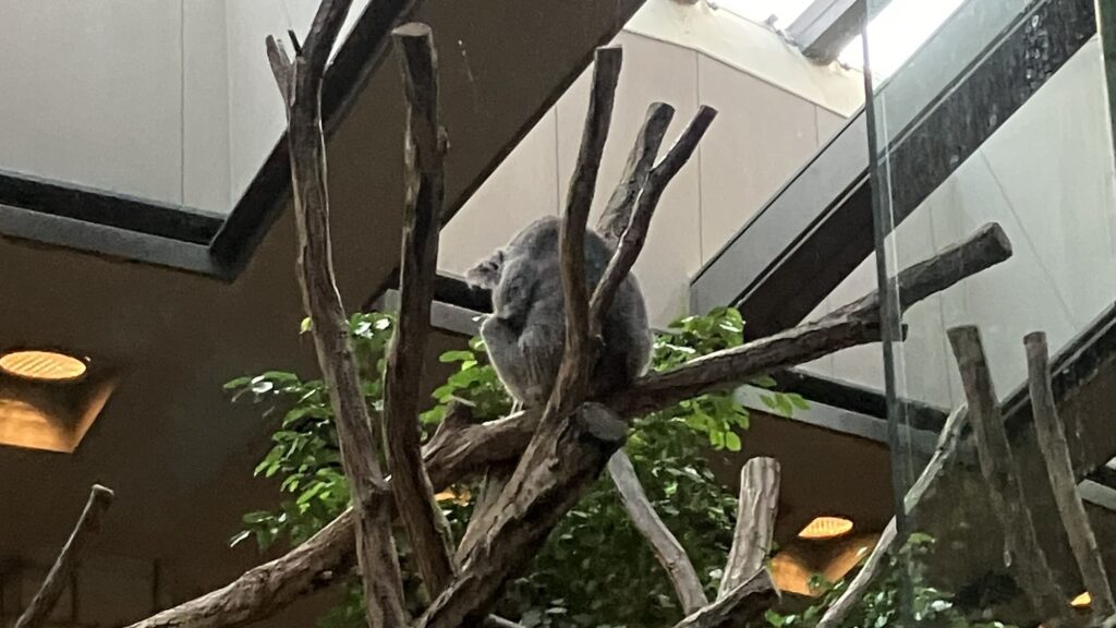 東山動植物園ナイトZOO