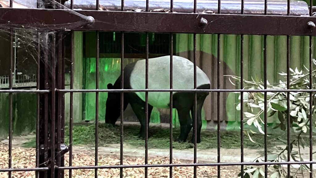 東山動植物園ナイトZOO