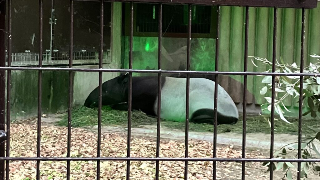 東山動植物園ナイトZOO