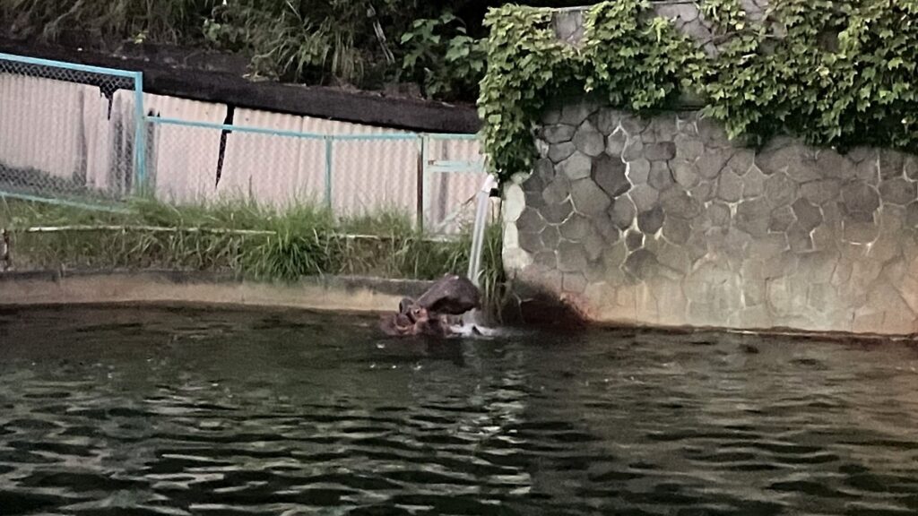 東山動植物園ナイトZOO