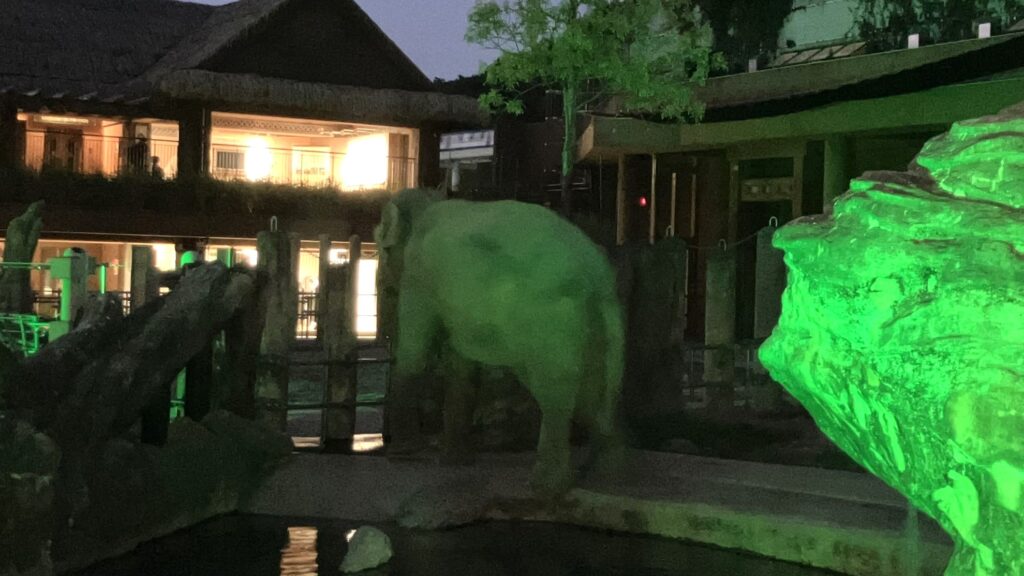 東山動植物園ナイトZOO