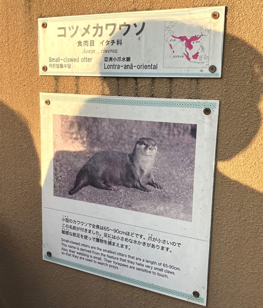 東山動植物園ナイトZOO