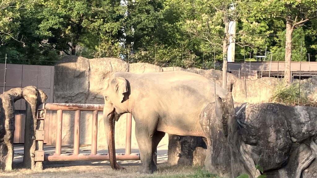 東山動植物園ナイトZOO